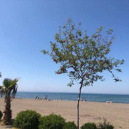 Hotel Mario, Shëngjin Kültér fotó