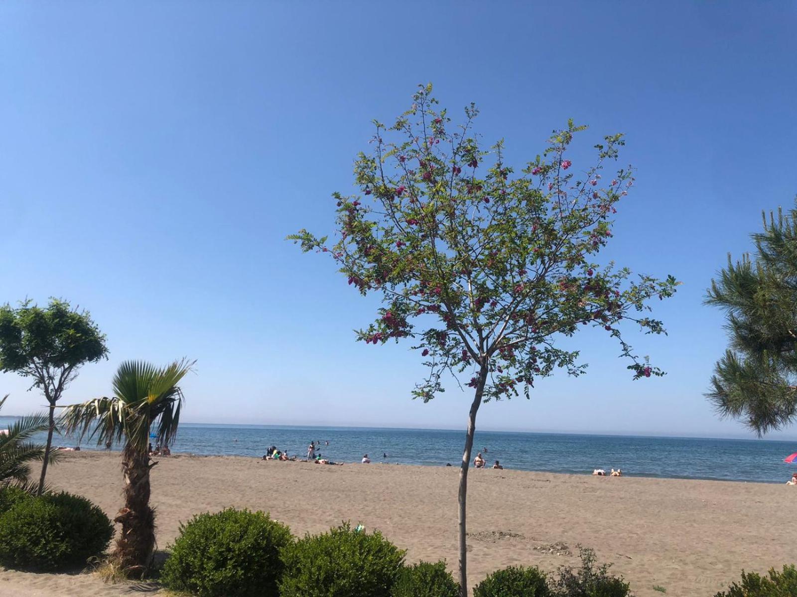 Hotel Mario, Shëngjin Kültér fotó